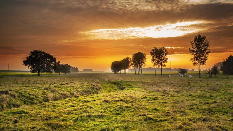 壹号娱乐网站团队合影与办公环境